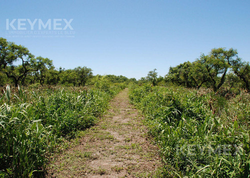 Venta Lote En Primera Sección Del Delta Del Paraná, Dos Rios. Lote 34