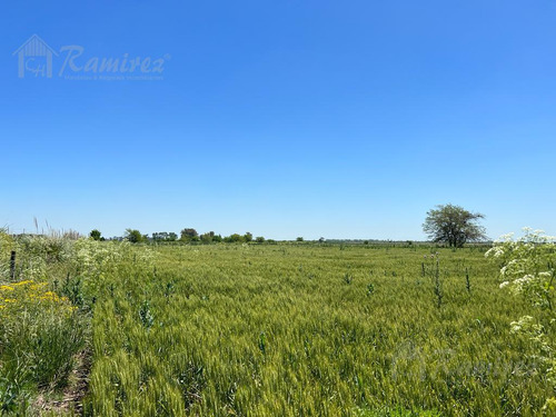 Campo 20 Hectareas En Venta Sobre Ruta 6 - Marcos Paz **vendido**