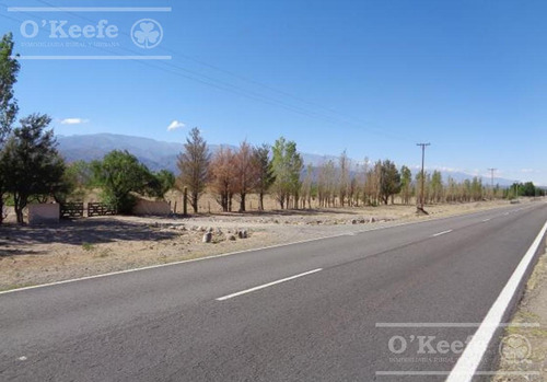 Campo En Venta De 300 Has Santa Maria, Catamarca