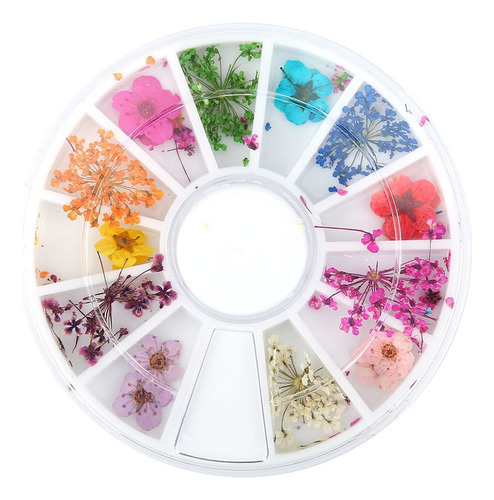 Flores Secas Flores De Uñas Románticas Para Decorar Tu