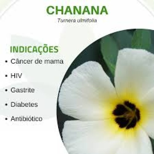 Tintura De Chanana 100ml Superior Ao Extrato