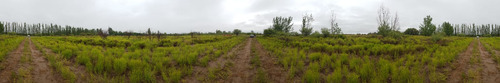 Finca 1,6 Hectáreas En Bowen Mendoza