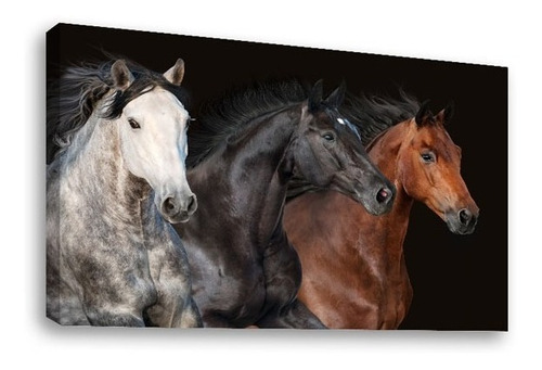 Cuadro Decorativo Canvas Moderno Caballos