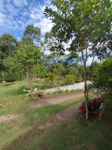 Chácara, Suzano, Clube Dos Oficiais, Piscina, Salão E Pés De Frutas