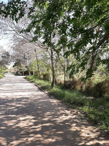 Imagen 5 de 6 de San Jose Del Rincón - Terreno En Venta