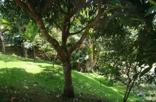 Imagem 3 de 6 de Terreno Córrego Grande - V-226
