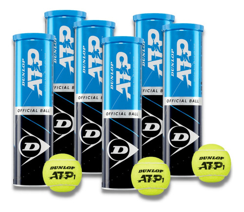 6 Tarros De Pelotas De Tenis Dunlop - Atp World Tour X4