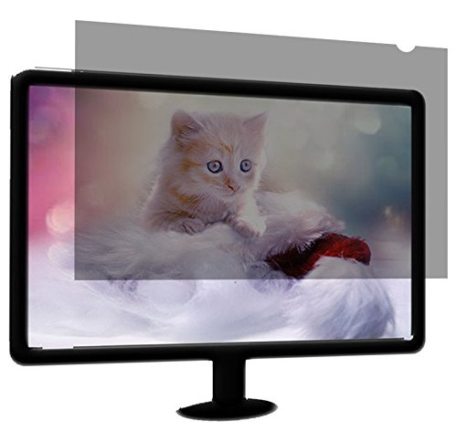 Filtro Proteccion Pantalla Privacidad W 22  Para Monitor Lcd