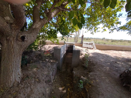 Imagen 12 de 16 de ¡zeballos Estudio Jurídico E Inmobiliaria Vende Finca En Producción En Lavalle! Mat. 134/135
