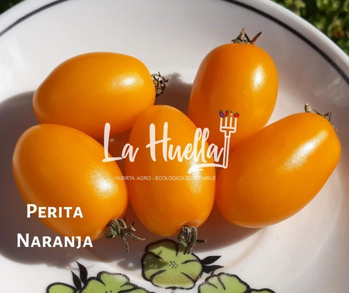 Super Combo Tomates Cherrys Exclusivos Reliquias