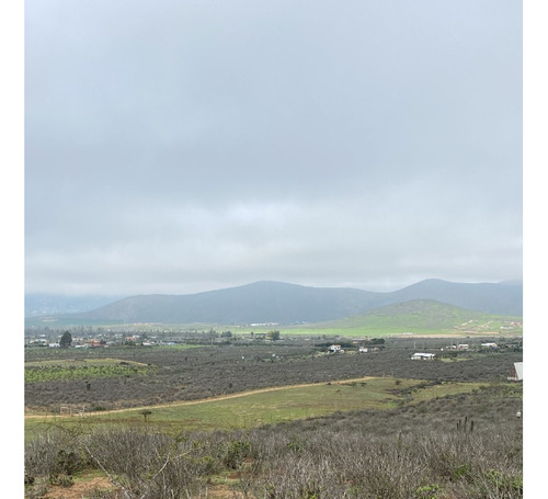 Sector El Incienso, Las Barrancas, Coquimbo Parcela De 2 Has