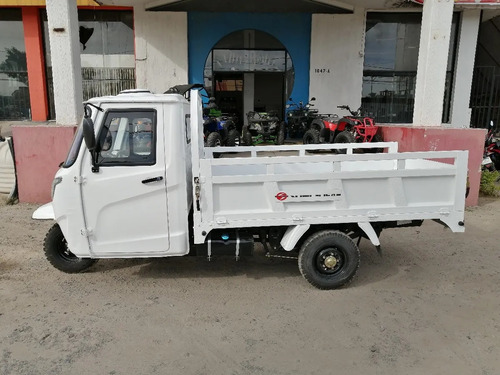 Imagen 2 de 7 de Motocarro Cabina Cerrada 300cc Sunl