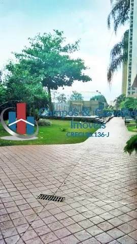 Imagem 16 de 16 de Rua Iguape, Jardim Paulista, Ribeirão Preto - 42221