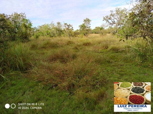 Imagem 8 de 15 de Fazenda Em Divinópolis - To - 136 Alqueirões (pecuária) - 1382