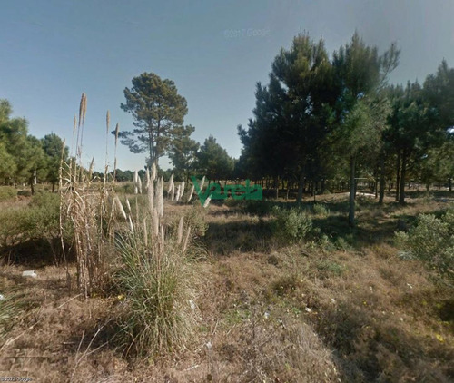Imagen 3 de 9 de Venta Terrenos Solymar