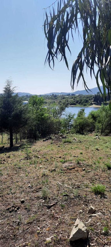 Imagen 8 de 13 de Ref.535.se Vende Lote Sobre Costa De Lago Los Molinos !