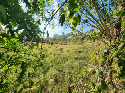 Vendo Terreno En Ingenio Abajo, En La Parada Del 7