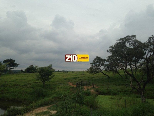 Imagem 4 de 30 de Haras - Ha00002 - 32523009
