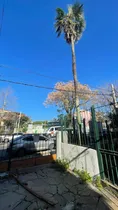 Comprar 3 Casas En El Prado Para Reciclar (una De 3, Una De 2 Y Una De 1 Dormitorio) A Un Precio Único