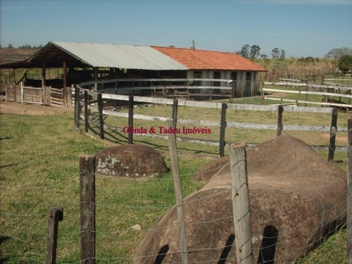 Sítio Areas Para Incorporações E Loteamentos Campinas - Sp - Carlos Gomes - Si0011