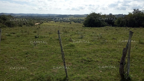 Imagen 1 de 15 de Excelente Chacra En Venta Para Reciclar A Dos Km De Puedo Eden Maldonado - Maldonado Ruta 9