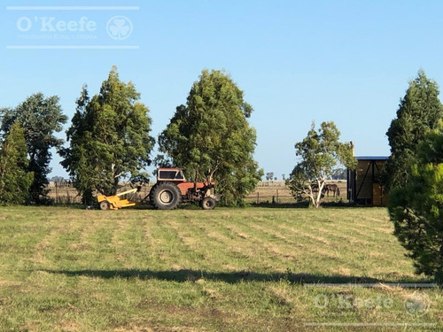Imagen 7 de 18 de Campo 444 Has Ganadero Con 20% Aptitud Agrícola - A 3 Km De Ruta - General Lamadrid