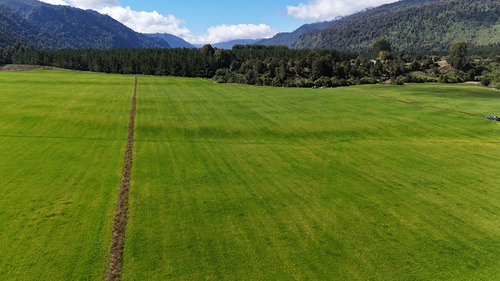 Parcela 5.000m2 Comuna Puerto Octay (100915)