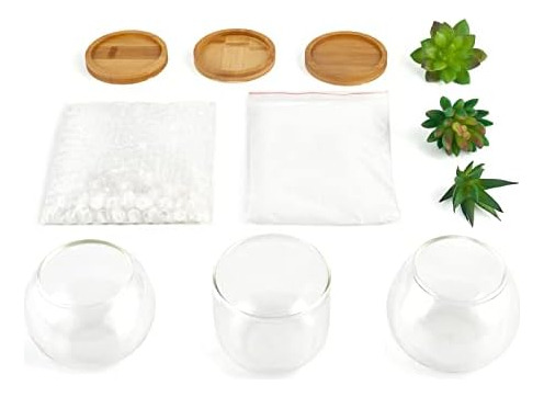 Mkono Suculenta Artificial En Maceta De Vidrio Transparente,