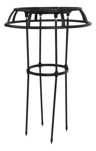 Soporte Decorativo Para Plantas Trepadoras A Prueba De Óxido