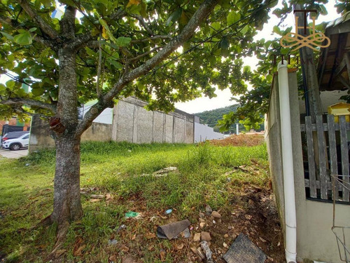Imagem 5 de 11 de Terreno Para Alugar, 252 M² Por R$ 1.700,00/mês - Nova Esperança - Balneário Camboriú/sc - Te0053
