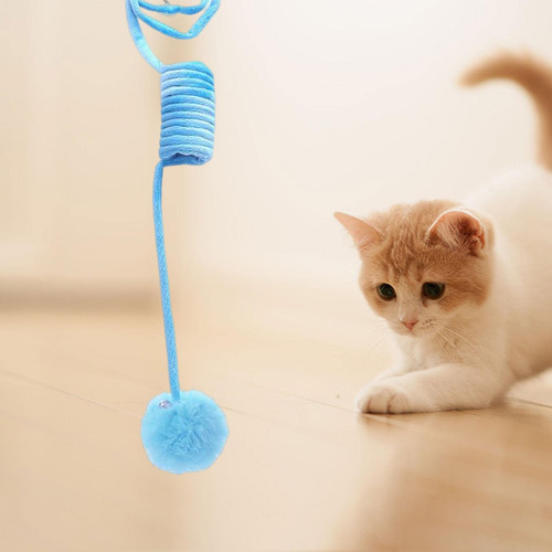 2 Tipo De Puerta Colgante Suministros Para Gatos Domésticos