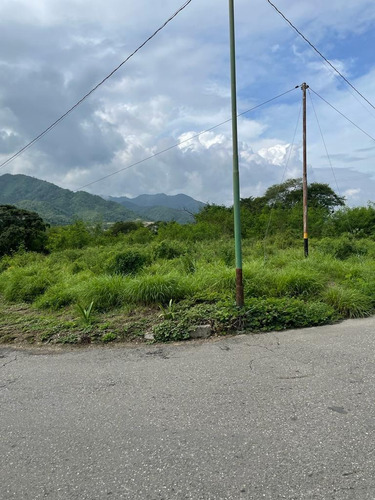 Imagen 9 de 30 de Venta De Terreno Proyecto De Construcción Aprobada Guarenas J.b