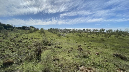 Chacras De 5 Has En Paraje Las Cañas !!!