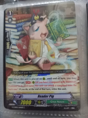 Reader Pig Carta Vanguard