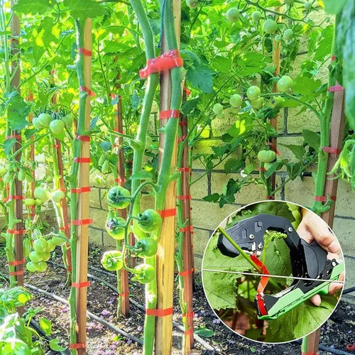Máquina Atadora De Plantas Para Unir Tomates Y Uvas Sin Esf