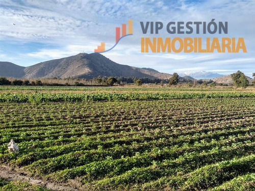 Imagen 4 de 10 de Parcela En Venta En Calera De Tango
