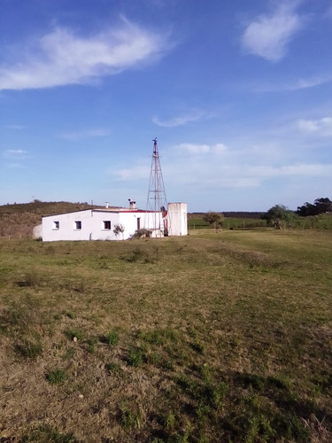Campo Agrícola Ganadero En Canelones