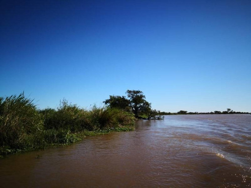 Imagen 14 de 29 de Campo De Isla Ganadero, 2.000 Has Sobre El Paranacito
