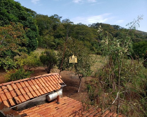Imagem 11 de 30 de Sitio Em Esmeraldas - Urucuia - St00135 - 69587150