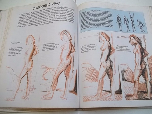 Livro - Pratico De Desenho - Circulo Do Livro (Usado)