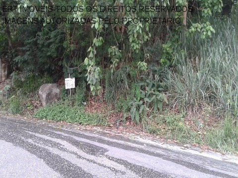 Imagem 1 de 2 de Terreno - Te00091 - 31976924