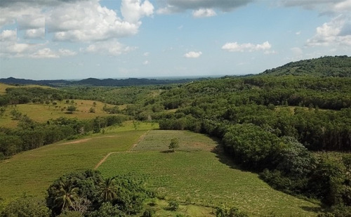 Imagen 10 de 10 de Finca De Limon Y Piña En Bayaguana Acepto Vehículos 80%