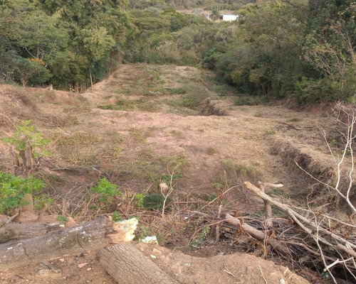 Imagem 3 de 4 de Terreno Industrial - Ti00008 - 68690611