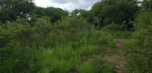 Imagen 2 de 8 de Magnifico Lote De 5000 M2
