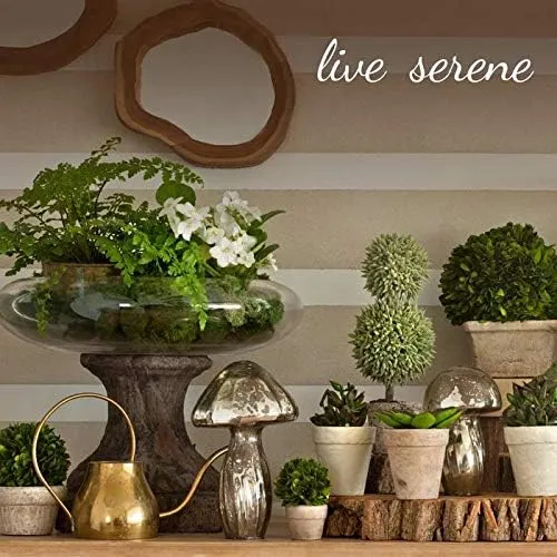 Serene Spaces Living Macetas Martilladas Doradas Con Aspecto