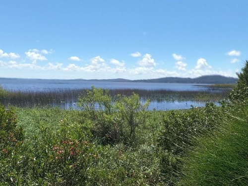 Imagen 14 de 17 de Terreno De 4.374 Mts2 Con Costa A Laguna Del Sauce