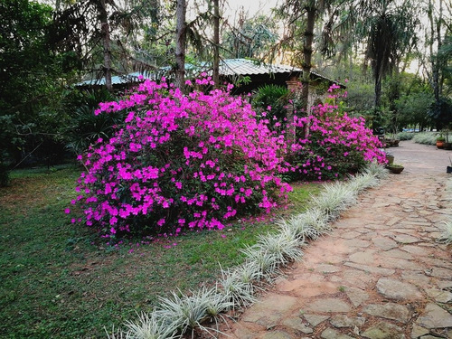 Imagen 4 de 9 de Visite Parque Kunu¿u Renda, A 7 Km. De Caacupé