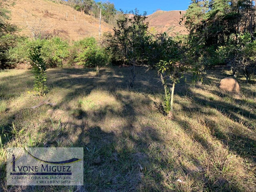 Imagem 9 de 15 de Sítio Em Maravilha - Paty Do Alferes - 3041
