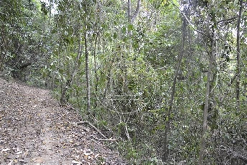 Imagem 4 de 11 de Terreno - Ref: 493988