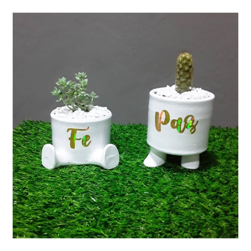 Maceteros Para Suculentas Y Cactus